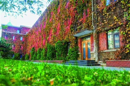 山东省实验中学墙上火红的爬山虎与翠绿的草地交相辉映